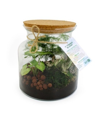 Terrarium Relax verre   - Made in France